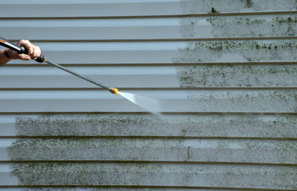 Local Pressure Washing Services in Palmetto, FL